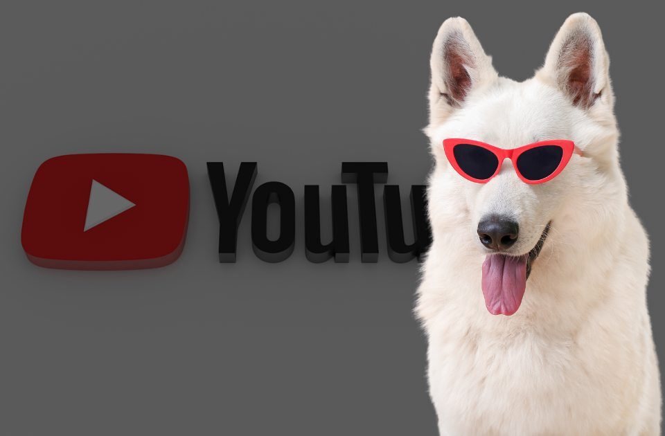 YouTube SEO