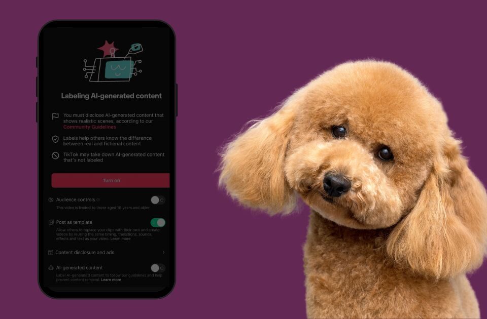контент створений штучним інтелектом