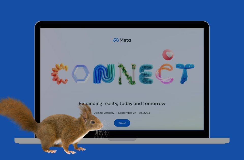 meta connect