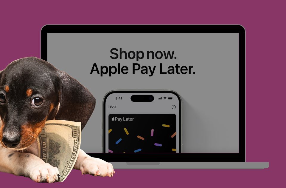 Apple Pay Later