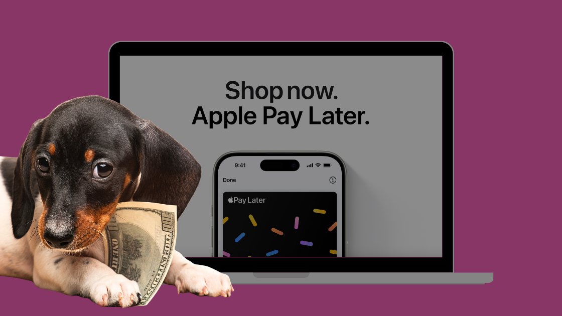 Apple Pay Later
