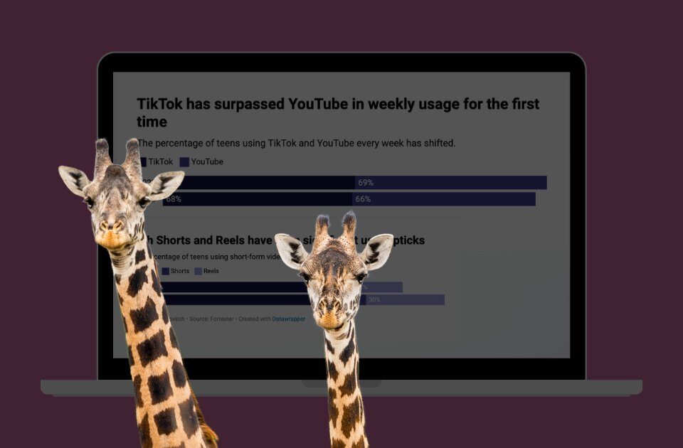 використання TikTok