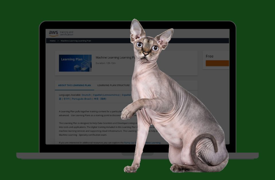 курси Amazon