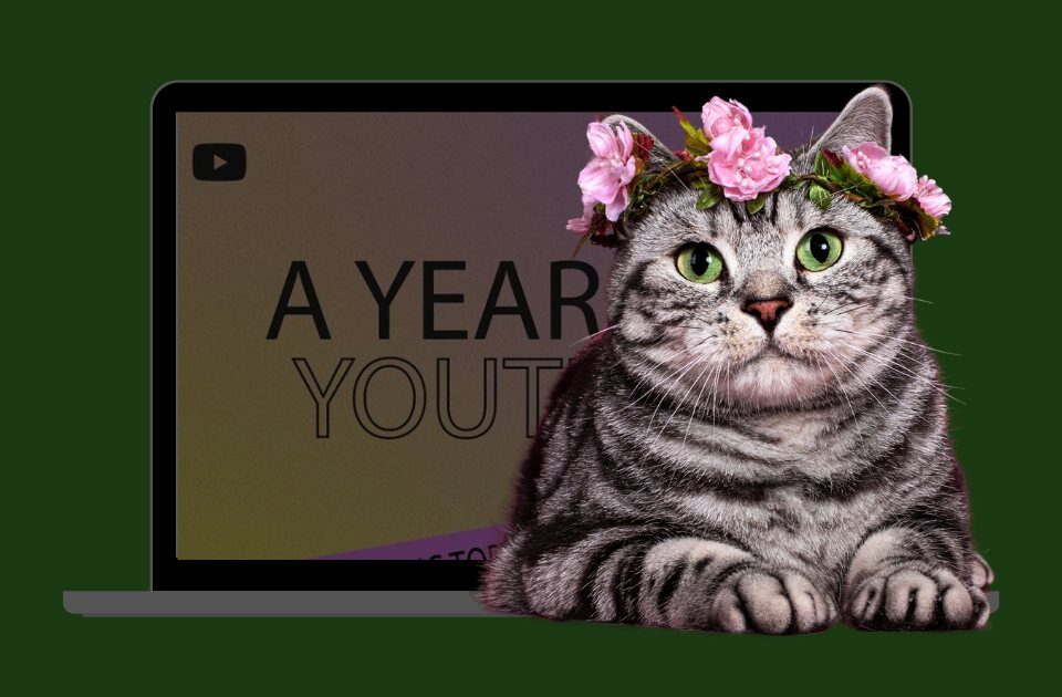 головні тренди YouTube