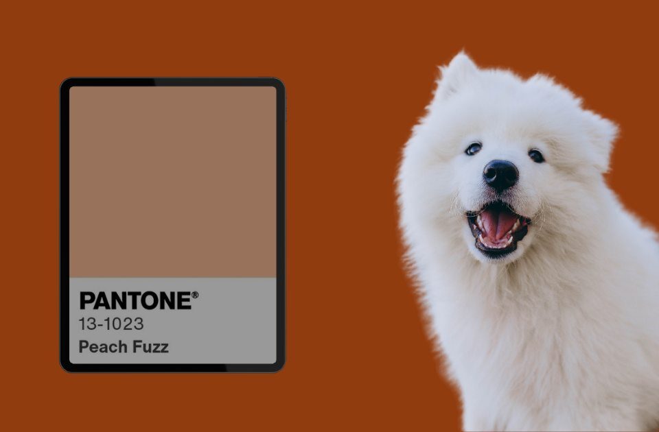 PANTONE 13-1023 Peach Fuzz
