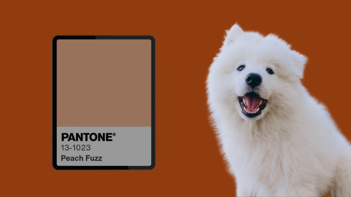 PANTONE 13-1023 Peach Fuzz