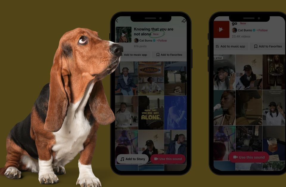 TikTok просуватиме нові "аккаунти акртистів"