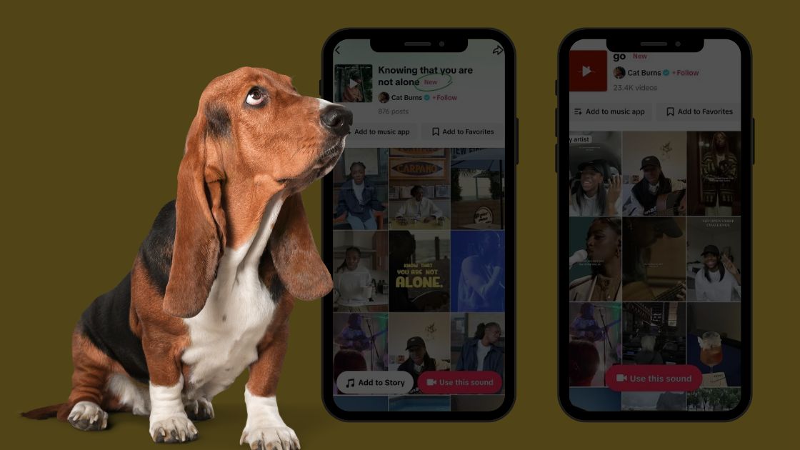 TikTok просуватиме нові "аккаунти акртистів"