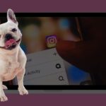 15 найважливіших трендів Instagram