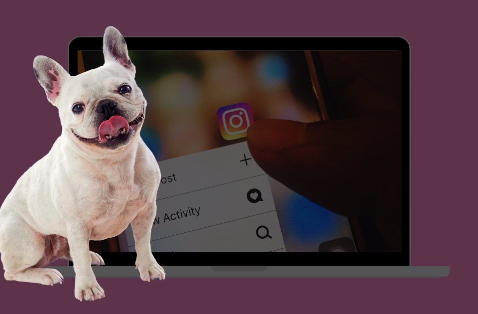 15 найважливіших трендів Instagram