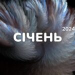 січень 2024