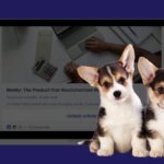 Спонсоровані публікації в LinkedIn