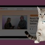 відео в YouTube Shorts