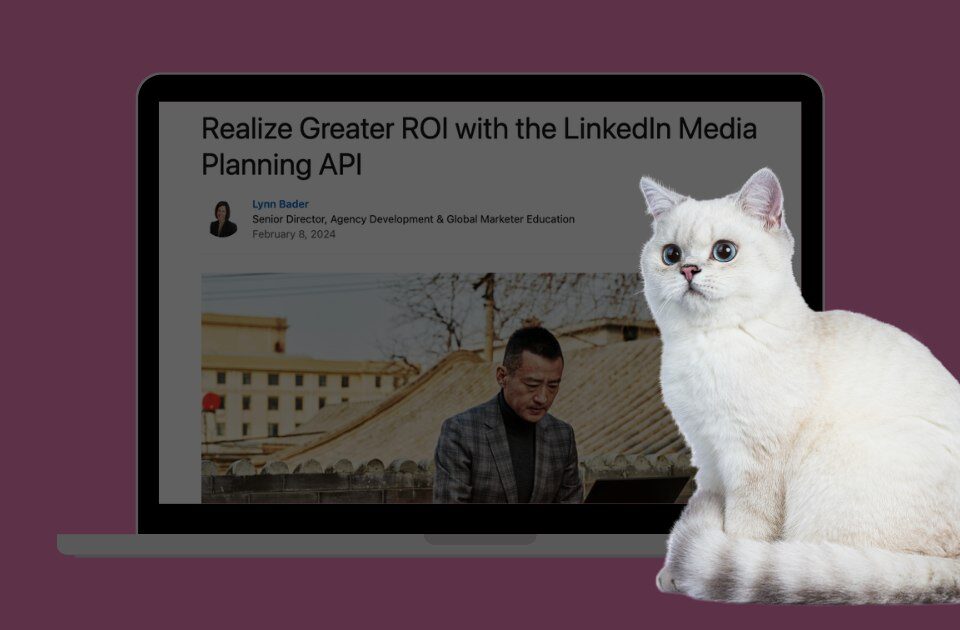 LinkedIn Media Planning API