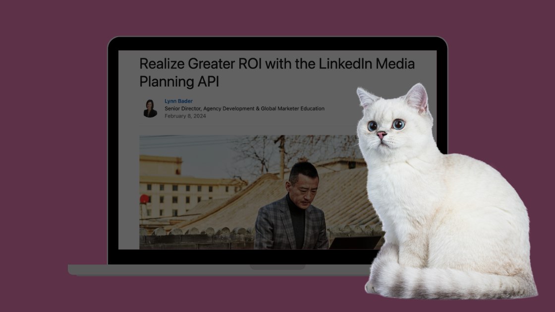 LinkedIn Media Planning API