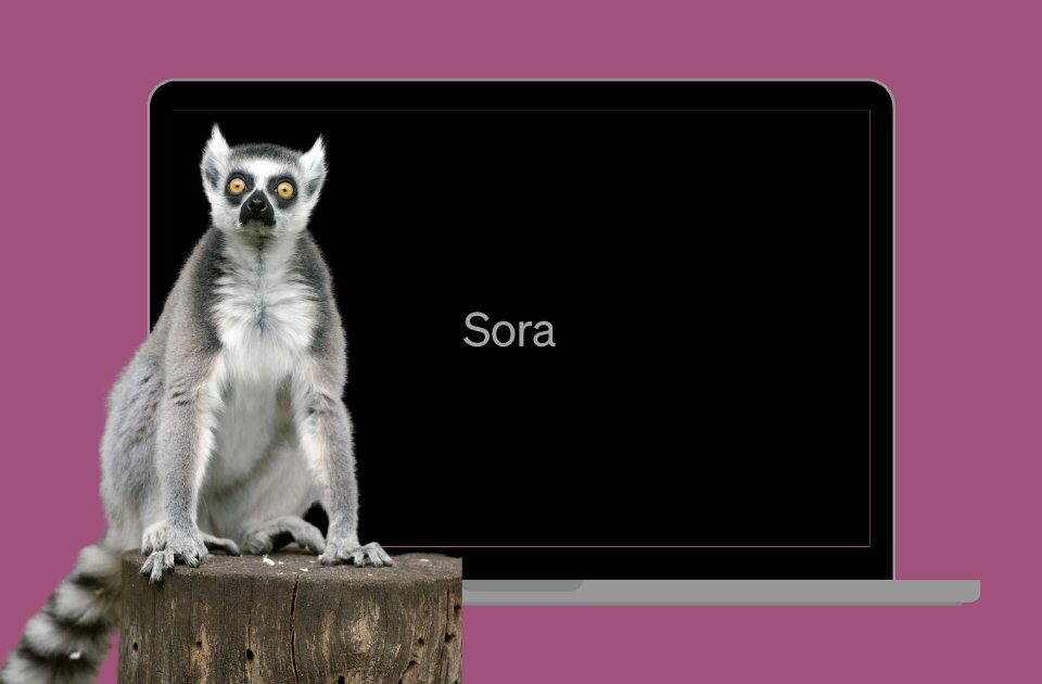 Sora