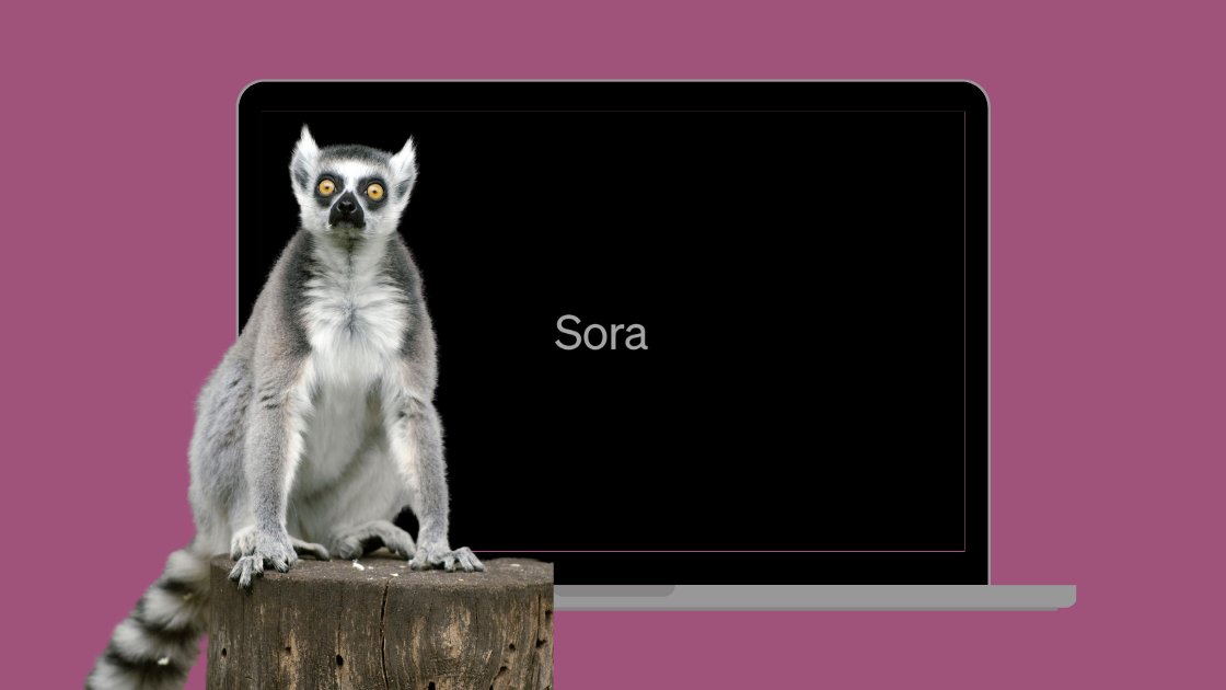 Sora