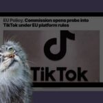розслідування TikTok