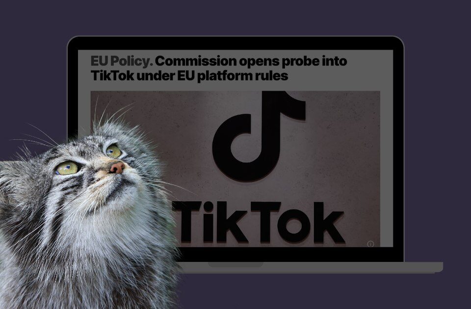 розслідування TikTok