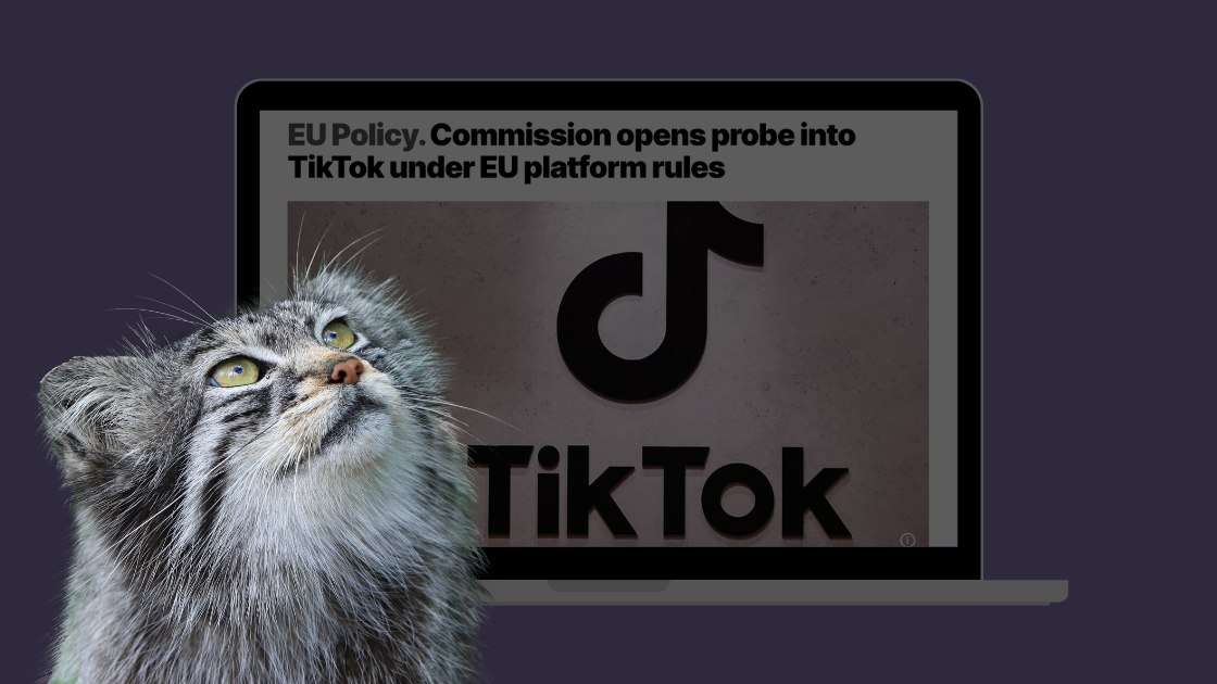 розслідування TikTok