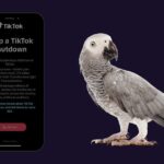 заборона додатка TikTok