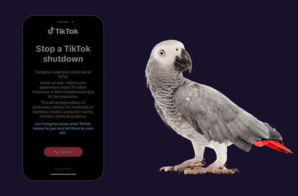 заборона додатка TikTok