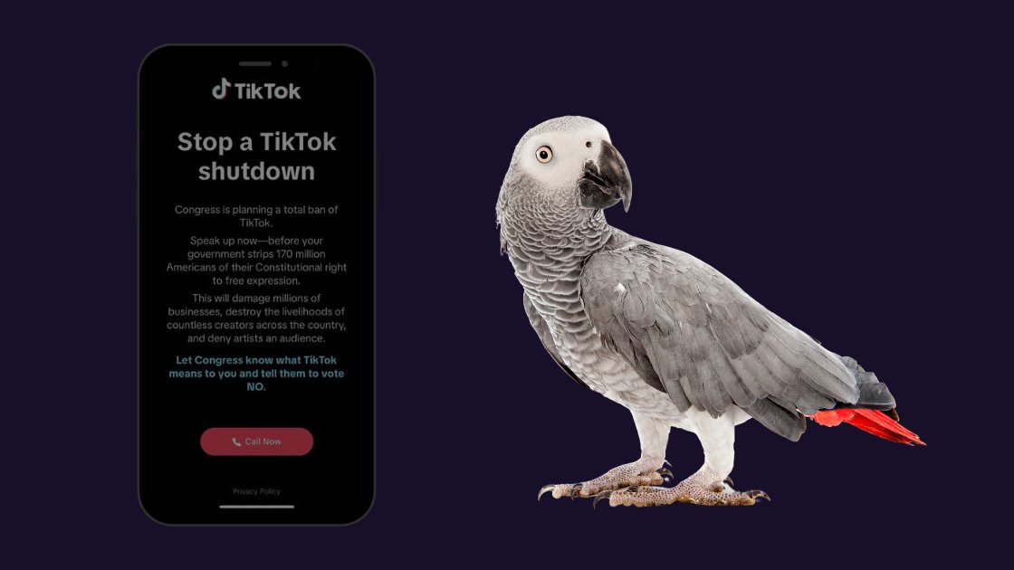 заборона додатка TikTok