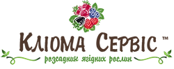 кліома сервіс