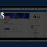 LinkedIn Premium Company Pages