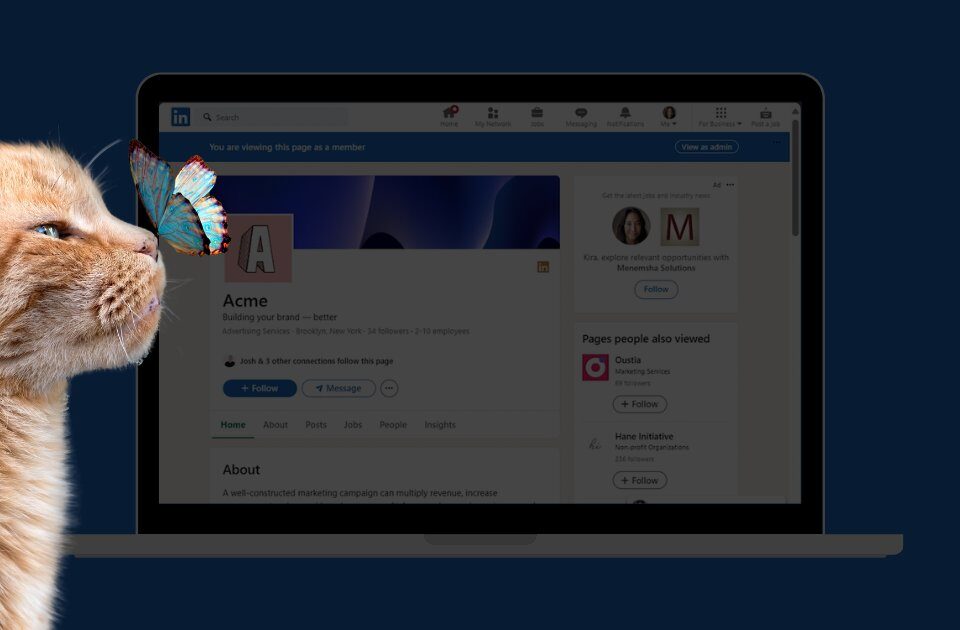 LinkedIn Premium Company Pages
