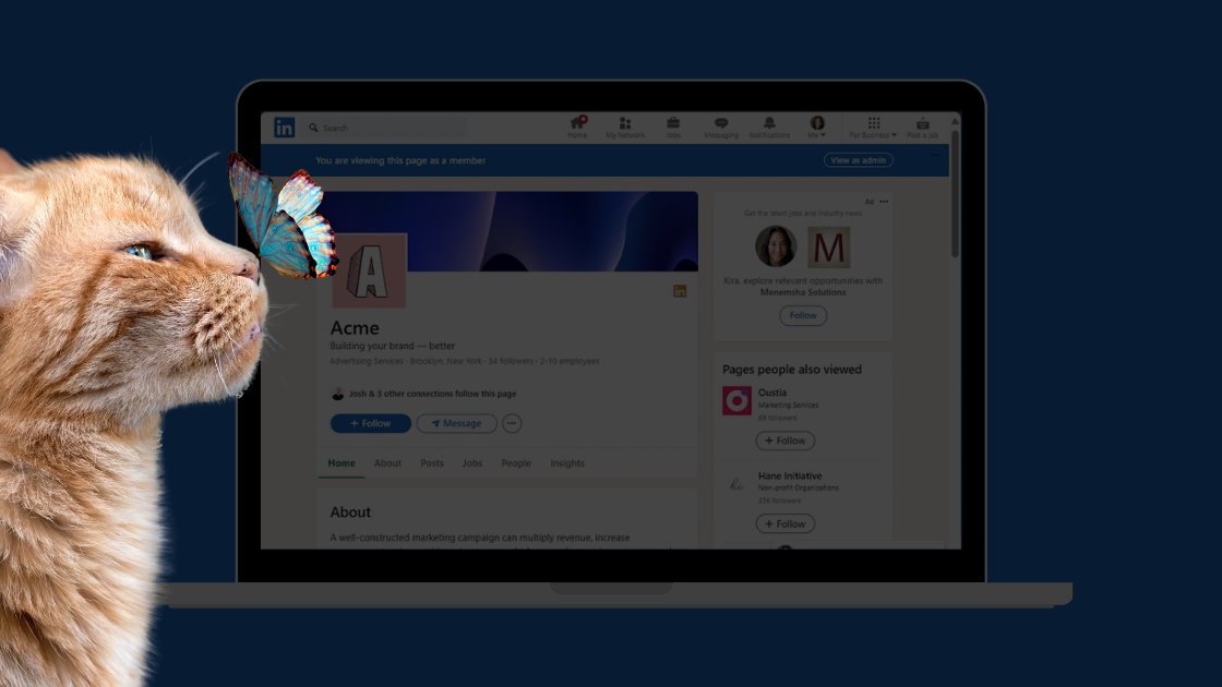LinkedIn Premium Company Pages