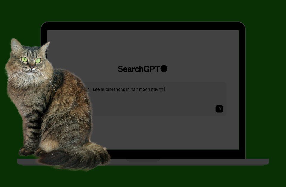 SearchGPT