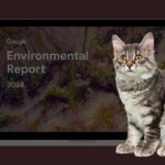 google report