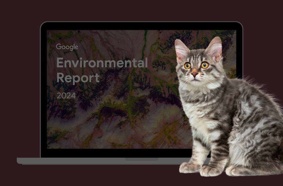 google report