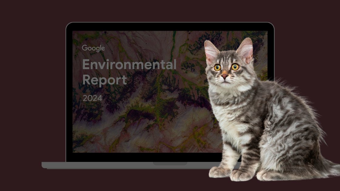 google report