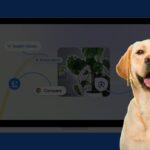 google пошук ai