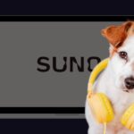 Suno