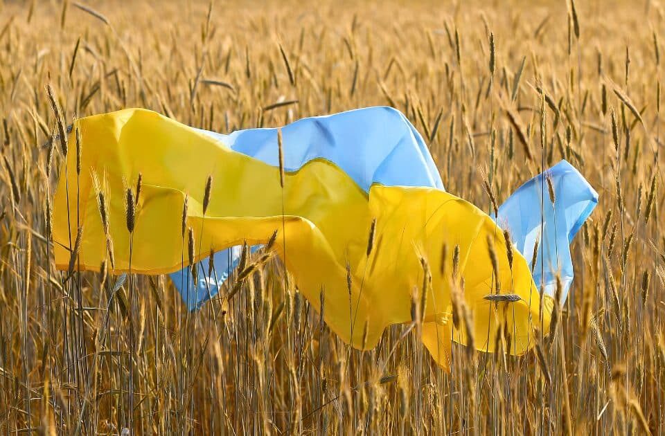 Незалежність України цитати