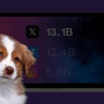 Платформа X