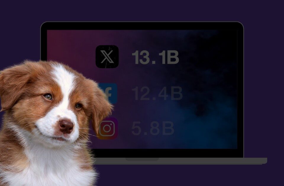 Платформа X