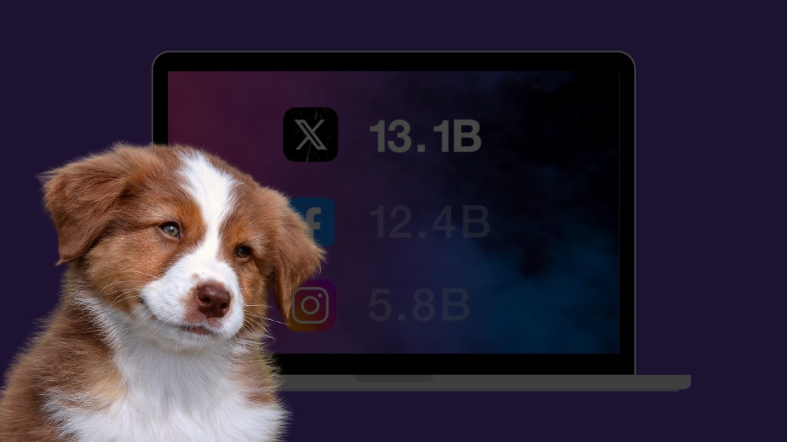Платформа X