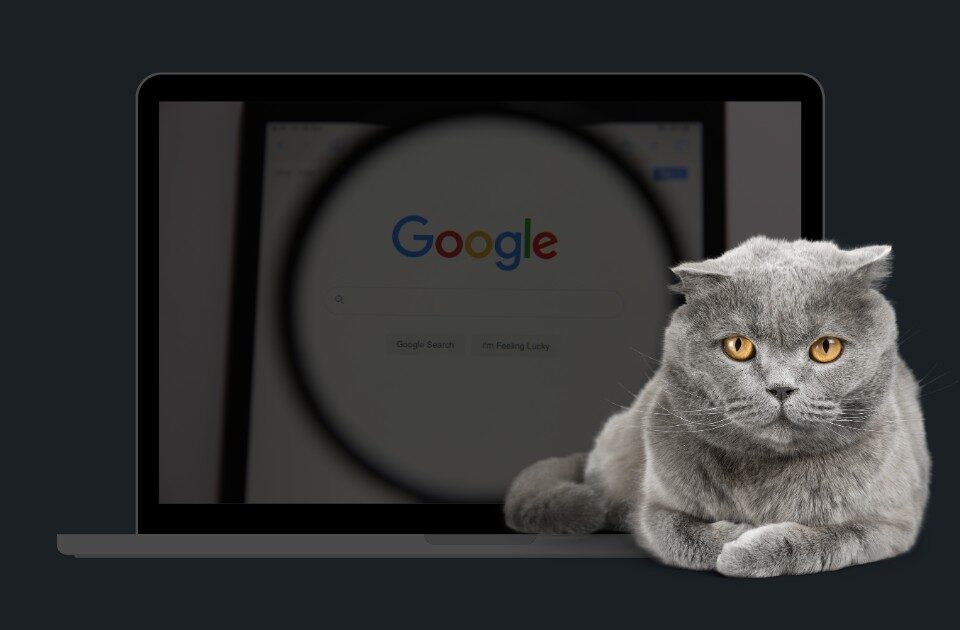 google