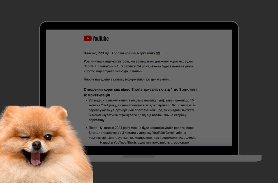 довгі Shorts