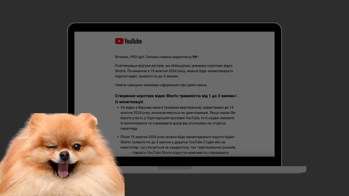 довгі Shorts