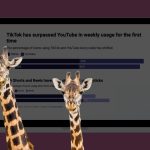 Нове дослідження інформує про плато у використанні TikTok підлітками та ріст Reels