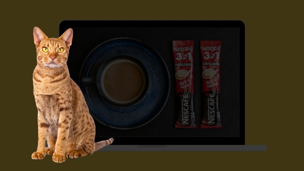 Nestlé збільшить витрати на маркетинг в умовах стрімкої глобальної інфляції