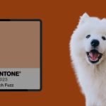 Pantone оголосив колір 2024 року