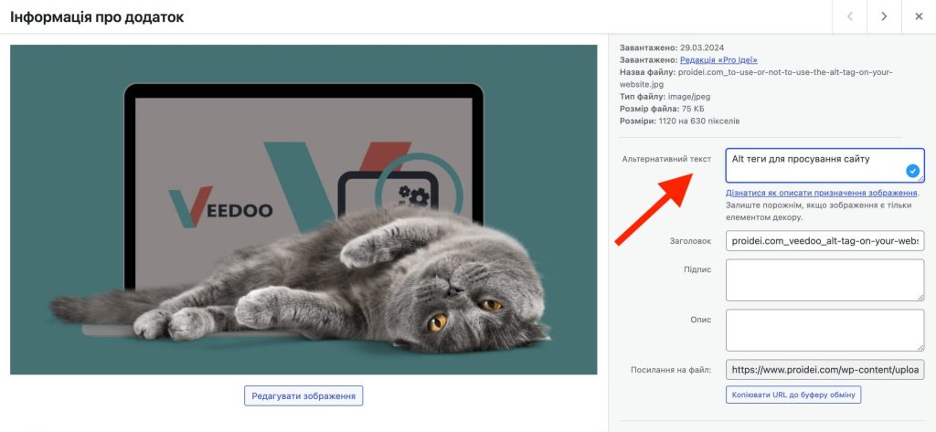 Як додати Alt тег до зображення у WordPress
