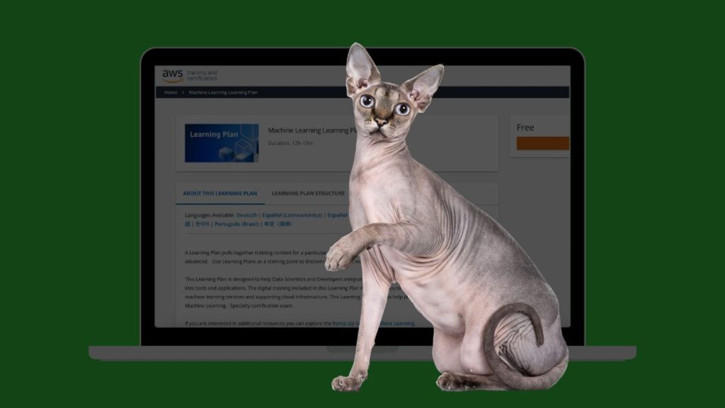 Amazon пропонує безкоштовні курси з технології генеративного ШІ Amazon