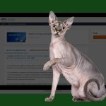 Amazon пропонує безкоштовні курси з технології генеративного ШІ Amazon